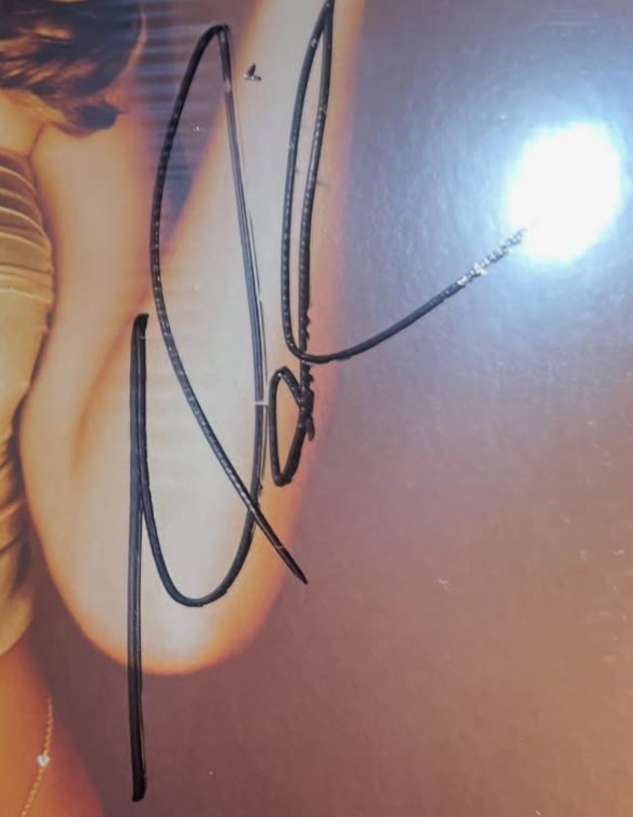 Fig. X detail: signature close-up at a slight angle.
